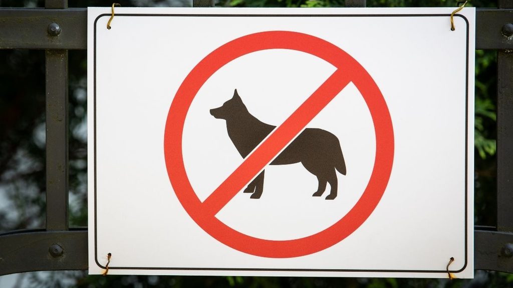 Your Legal Pet at Home May Be Prohibited in California