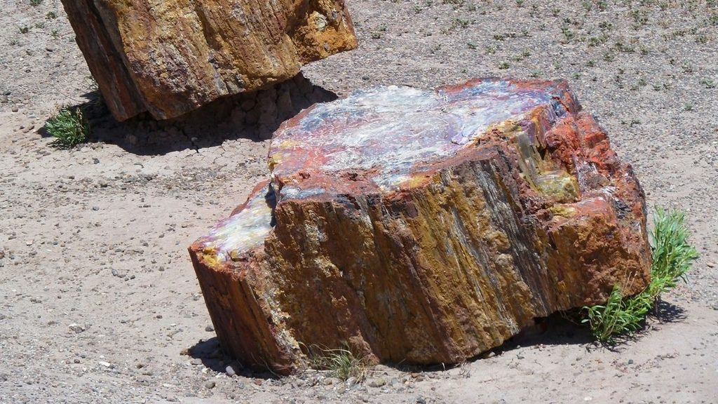 Rocks